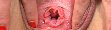 Vagina Close Up